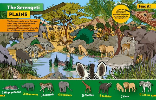 Produktbild: Animals Find it! Explore it!
