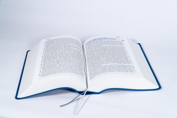 Produktbild: Elberfelder Bibel in gro&szlig;er Schrift, Kunstleder