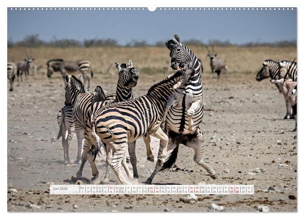 Produktbild: Namibia &ndash; Farben des Lebens (Wandkalender 2026 DIN A2 quer), CALVENDO Monatskalender
