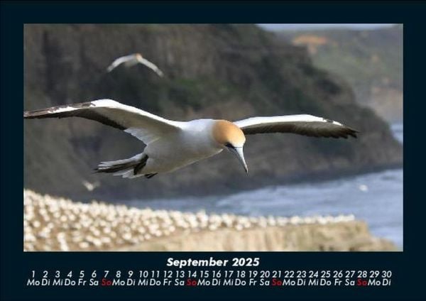 Produktbild: Vogelparadies 2025 Fotokalender DIN A5