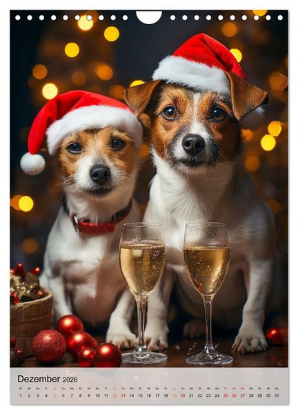 Produktbild: Jack Russel Terrier - furchtlos und viel Selbstvertrauen (Wandkalender 2026 DIN A4 hoch), CALVENDO Monatskalender