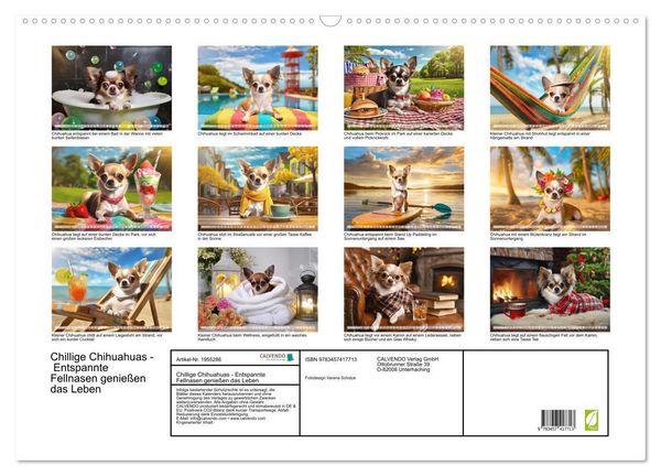 Produktbild: Chillige Chihuahuas - Entspannte Fellnasen genie&szlig;en das Leben (Wandkalender 2026 DIN A2 quer), CALVENDO Monatskalender
