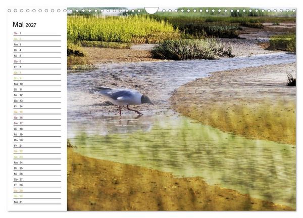 Produktbild: Fan&oslash; - Mit k&uuml;nstlerischem Auge betrachtet (Wandkalender 2027 DIN A3 quer), CALVENDO Monatskalender