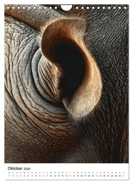 Produktbild: Nashorn - Stark. Stur. Schnell. (Wandkalender 2026 DIN A4 hoch), CALVENDO Monatskalender