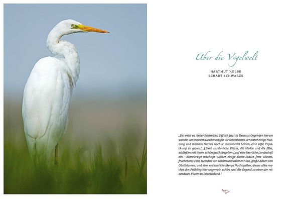 Produktbild: Flora, Fauna, Gartenfreude