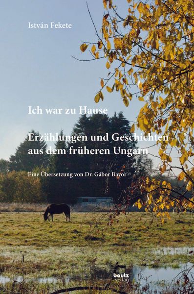 Produktbild: Istv&aacute;n Fekete - Ich war zu Hause
