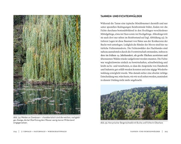 Produktbild: Die Sache mit dem Wald