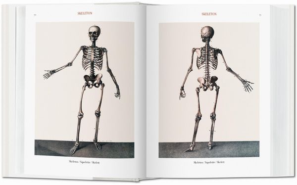 Produktbild: Bourgery