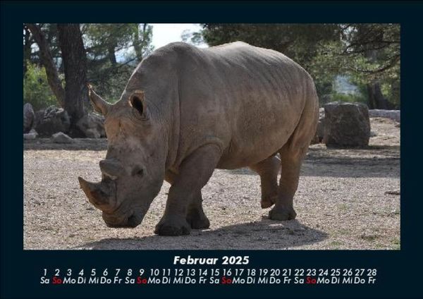 Produktbild: Der Tierkalender 2025 Fotokalender DIN A5