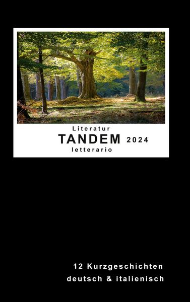 Literatur Tandem letterario 2024, Taschenbuch von Stiftung Heimann, BoD – Books on Demand, 9783759712394