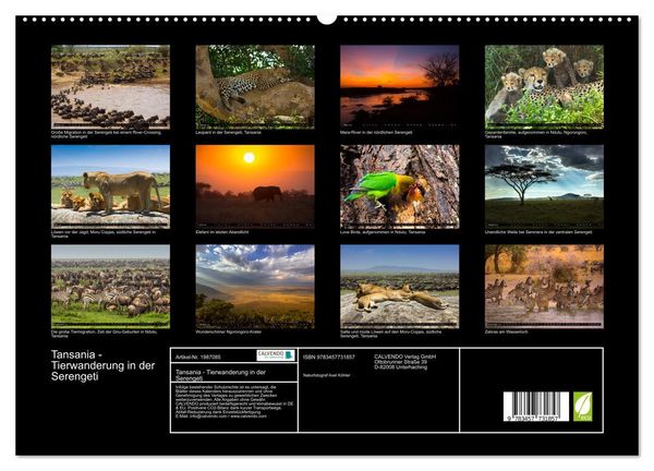 Produktbild: Tansania - Tierwanderung in der Serengeti (hochwertiger Premium Wandkalender 2026 DIN A2 quer), Kunstdruck in Hochglanz