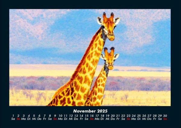 Produktbild: Giraffen 2025 Fotokalender DIN A4