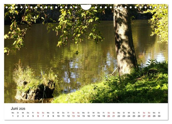 Produktbild: Waldheim (Wandkalender 2026 DIN A4 quer), CALVENDO Monatskalender