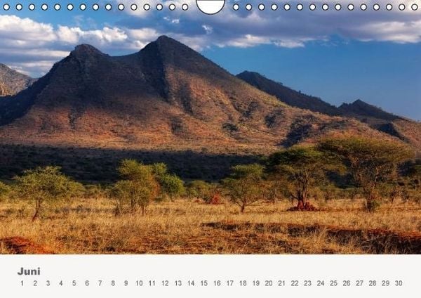Produktbild: Faszination Ostafrika - Tierwelt und Natur aus Kenia und Tansania (Wandkalender immerw&auml;hrend DIN A4 quer)