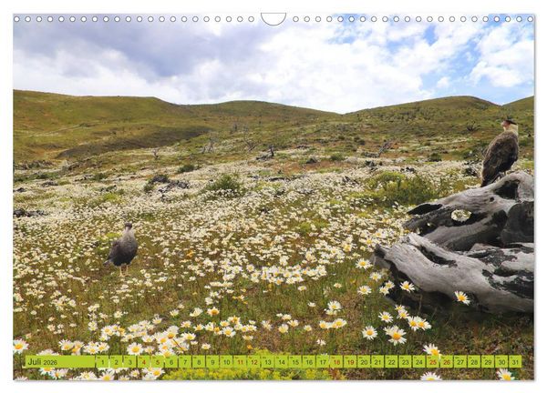 Produktbild: M&auml;rchenwelt Patagonien (Wandkalender 2026 DIN A3 quer), CALVENDO Monatskalender