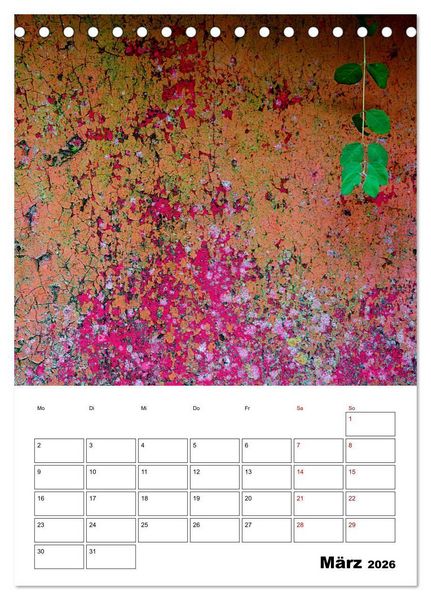 Produktbild: Mauerbl&uuml;mchen - Poesie im Allt&auml;glichen als Monatsplaner (Tischkalender 2026 DIN A5 hoch), CALVENDO Monatskalender