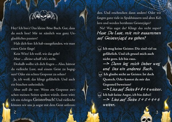 Das kleine Böse Buch 8: Interaktiver Lesespaß ab 8 Jahren vom Spiegel-Bestseller-Autor (Das kleine Böse Buch, Bd. 8)