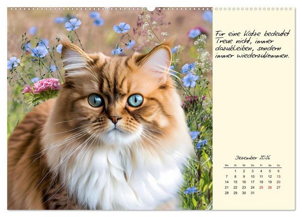 Produktbild: Katzen - Charakter und Sch&ouml;nheit (hochwertiger Premium Wandkalender 2026 DIN A2 quer), Kunstdruck in Hochglanz