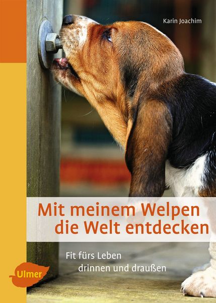 Produktbild: Mit meinem Welpen die Welt entdecken