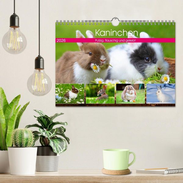 Produktbild: Kaninchen. Putzig, flauschig und geliebt (Wandkalender 2026 DIN A4 quer), CALVENDO Monatskalender