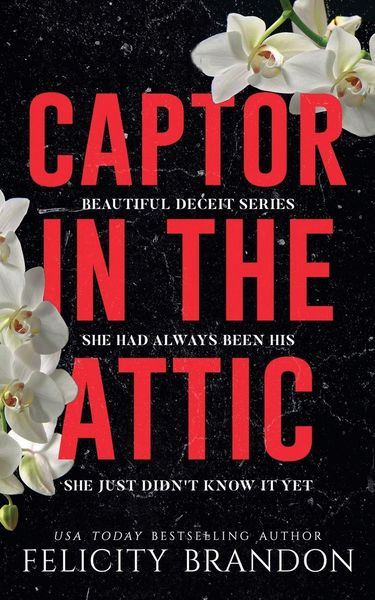 Produktbild: Captor In The Attic