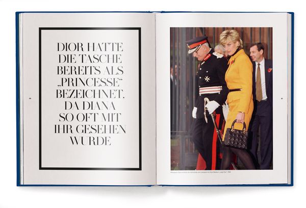 Produktbild: Dior Bags: Der ultimative Guide