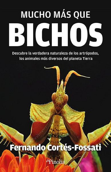 Produktbild: Mucho M&aacute;s Que Bichos