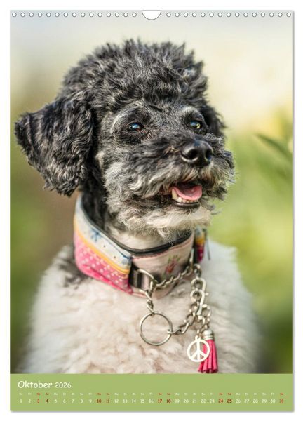 Produktbild: Flora Canidae - der Hunde-Bl&uuml;hpflanzen-Kalender (Wandkalender 2026 DIN A3 hoch), CALVENDO Monatskalender