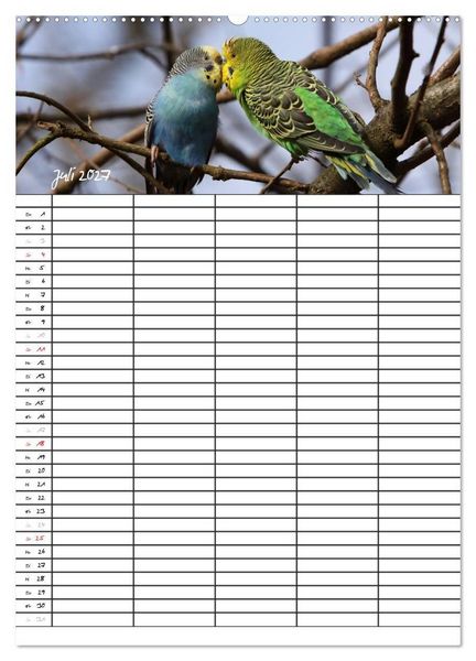 Produktbild: Wellensittiche (hochwertiger Premium Wandkalender 2027 DIN A2 hoch), Kunstdruck in Hochglanz