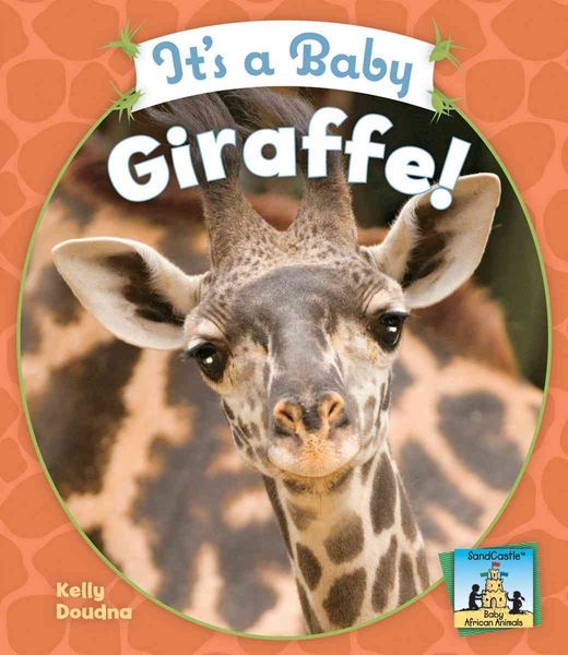 Produktbild: It's a Baby Giraffe!