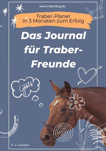 Produktbild: Traber-Planer - in 3 Monaten zum Erfolg