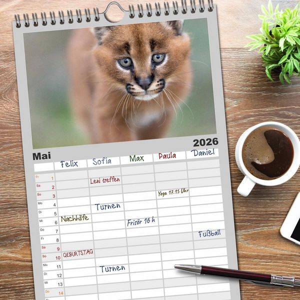 Produktbild: Familienplaner 2026 - Raubkatzenkinder mit 5 Spalten (Wandkalender, 21 x 45 cm) CALVENDO
