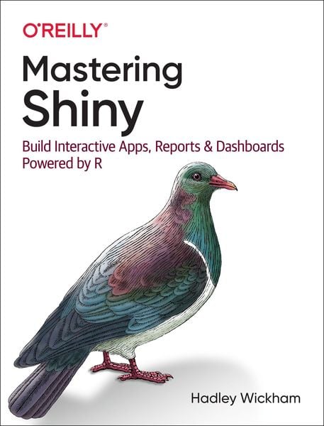 Produktbild: Mastering Shiny