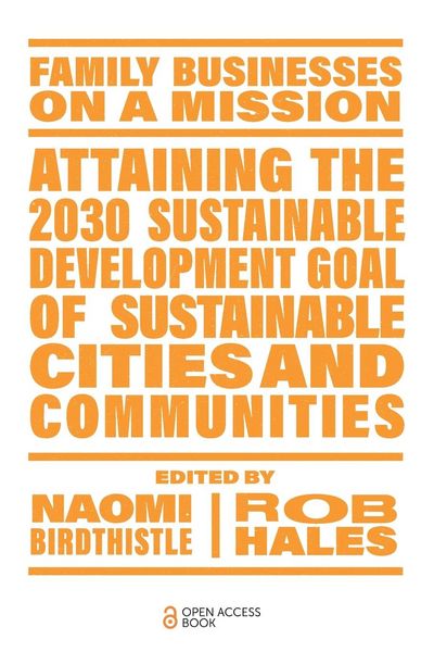 Produktbild: Attaining the 2030 Sustainable Development Goal of Sustainable Cities and Communities