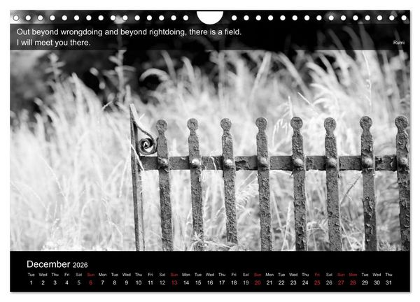 Produktbild: Through the Gate with Rumi (Wall Calendar 2026 DIN A4 landscape), CALVENDO 12 Month Wall Calendar