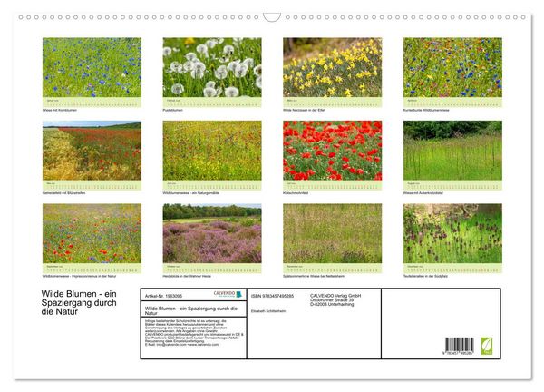 Produktbild: Wilde Blumen - ein Spaziergang durch die Natur (Wandkalender 2026 DIN A2 quer), CALVENDO Monatskalender