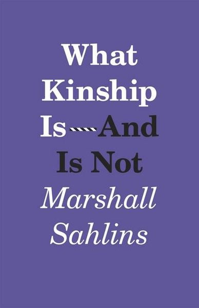 Produktbild: What Kinship Is-And Is Not