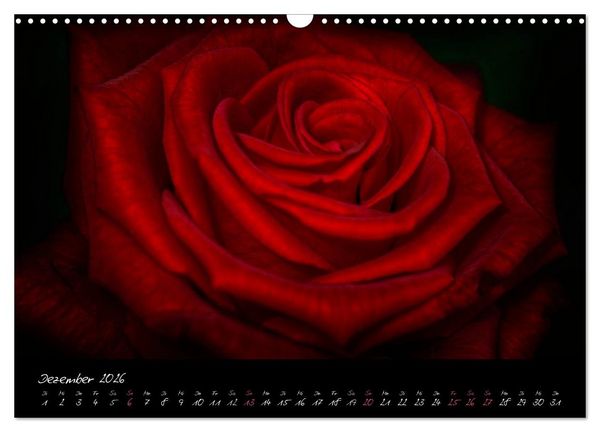 Produktbild: Serenade - Visuelle Musik der Blumen (Wandkalender 2026 DIN A3 quer), CALVENDO Monatskalender