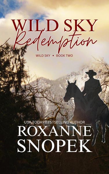 Produktbild: Wild Sky Redemption