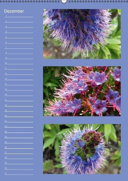 Produktbild: Zauberwelt der Blumen - Eiskristalle & Wasserperlen / Geburtstagskalender (Wandkalender immerw&auml;hrend DIN A2 hoch)