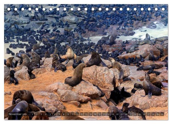 Produktbild: Namibia - Die Tierwelt (Tischkalender 2026 DIN A5 quer), CALVENDO Monatskalender
