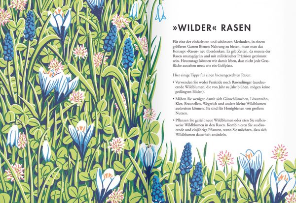 Produktbild: Pflanzen f&uuml;r Honigbienen