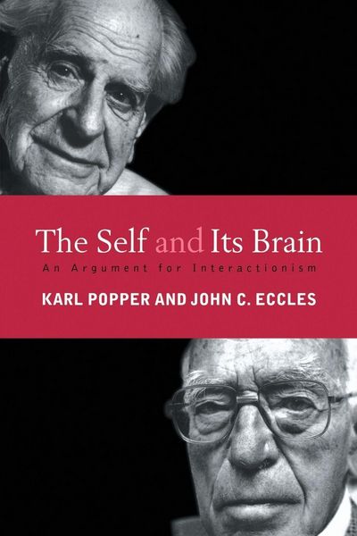 Produktbild: The Self and Its Brain