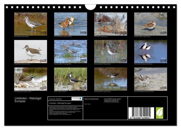 Produktbild: Limikolen - Watv&ouml;gel Europas (Wandkalender 2027 DIN A4 quer), CALVENDO Monatskalender