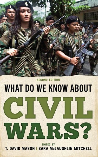 Produktbild: What Do We Know about Civil Wars?