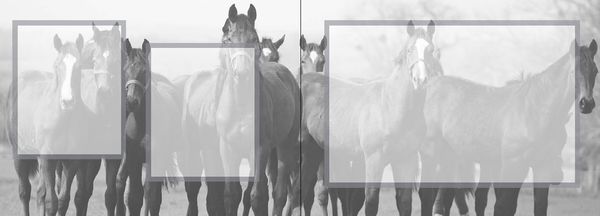 Produktbild: Mein Reiter-Tagebuch - F&uuml;r alle Erlebnisse und Erinnerungen aus dem Reitstall
