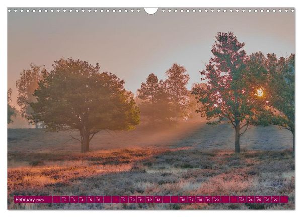 Produktbild: Just lovely - the power of pink heather blossom beauty (Wall Calendar 2026 DIN A3 landscape), CALVENDO 12 Month Wall Calendar