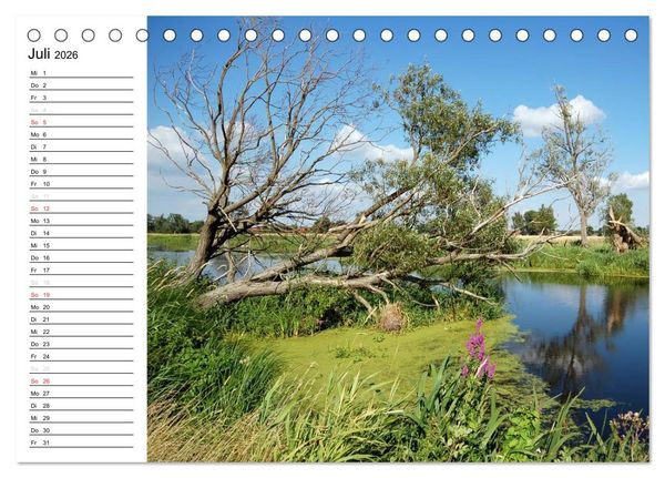 Produktbild: Vier Jahreszeiten im Land Brandenburg (Tischkalender 2026 DIN A5 quer), CALVENDO Monatskalender