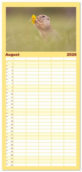 Produktbild: Familienplaner 2026 - Zauberhafte Ziesel mit 5 Spalten (Wandkalender, 21 x 45 cm) CALVENDO