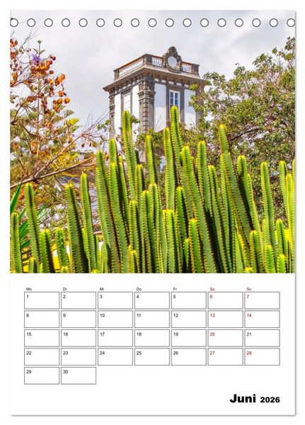Produktbild: Las Palmas - ein traumhaftes Reiseziel (Tischkalender 2026 DIN A5 hoch), CALVENDO Monatskalender